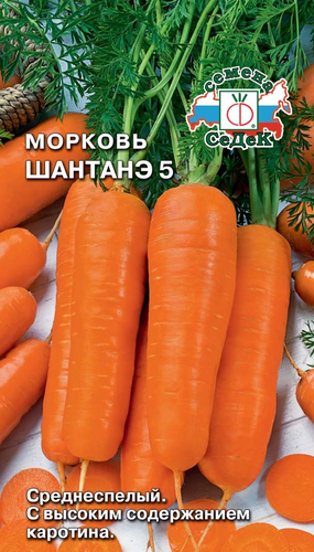 Семена морковь шантанэ 6, вид