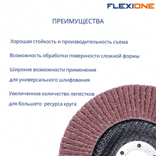 Шлифовальный круг конический FLEXIONE Expert P80 125 мм 1 шт, фото