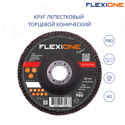 Шлифовальный круг конический FLEXIONE Expert P80 125 мм 1 шт, картинка