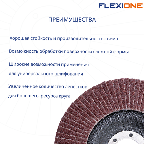 Шлифовальный круг конический FLEXIONE Expert P60 125 мм 1 шт, вид