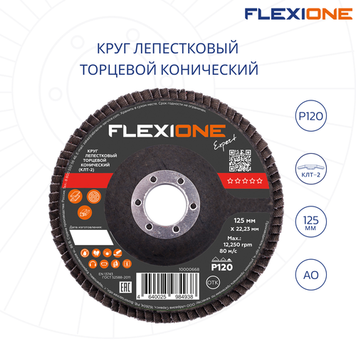 Шлифовальный круг конический FLEXIONE Expert P120 125 мм 1 шт, картинка