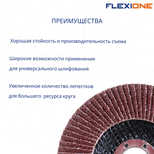 Шлифовальный круг плоский FLEXIONE Expert P60 125 мм 1 шт, фотография