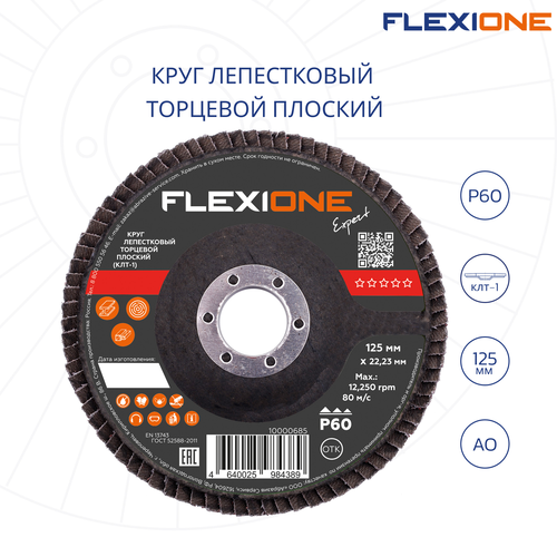 Шлифовальный круг плоский FLEXIONE Expert P60 125 мм 1 шт, детальное фото