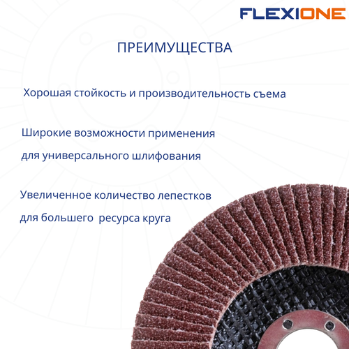 Шлифовальный круг плоский FLEXIONE Expert P120 125 мм 1 шт, фото