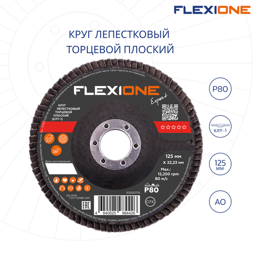 Шлифовальный круг плоский FLEXIONE Expert P80 125 мм 1 шт, фотография