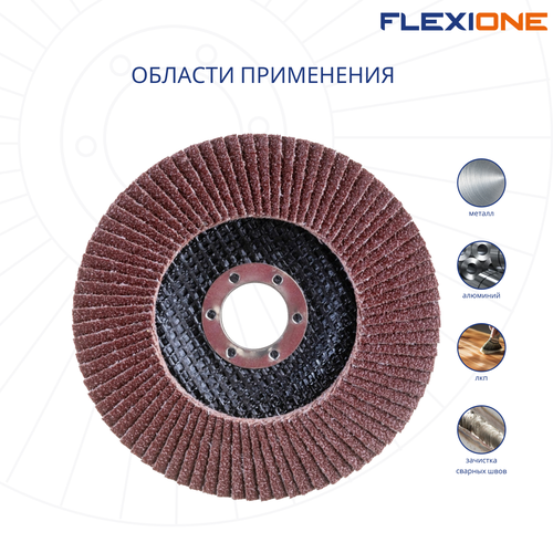 Шлифовальный круг плоский FLEXIONE Expert P80 125 мм 1 шт, картинка