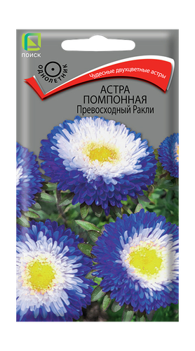 Астра помпонная Превосходный Ракли 0,3гр, фотография