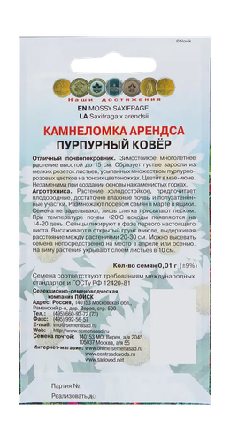 Камнеломка Арендса Пурпурный ковер 0,01гр, крупный план