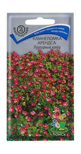 Камнеломка Арендса Пурпурный ковер 0,01гр, детальное фото