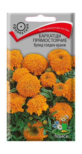 Бархатцы прямостоячие Купид голден оранж 0,2гр, фотография