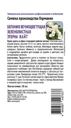 Бегония вечноцветущая зеленолистная Этерна Вайт 10шт, картинка