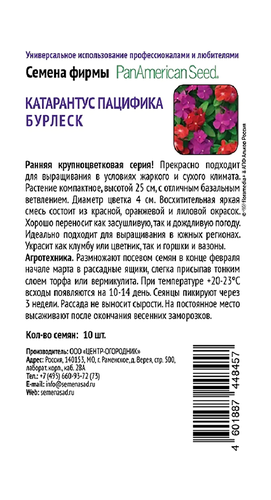 Катарантус Пацифика Бурлеск 10шт, крупный план
