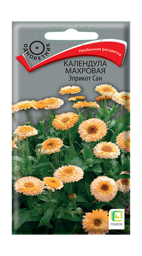 Календула махровая Эприкот Сан 0,1гр, крупный план