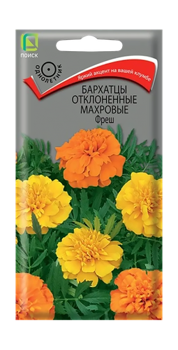 Бархатцы отклоненные махровые Фреш 0,3гр, крупный план