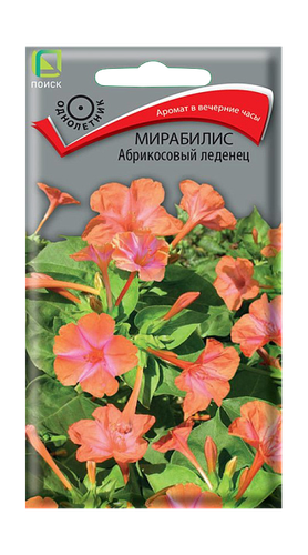 Мирабилис Абрикосовый леденец 1гр, крупный план