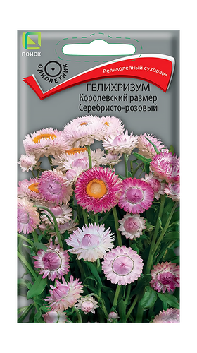 Гелихризум Королевский размер Серебристо-розовый 0,1гр, вид