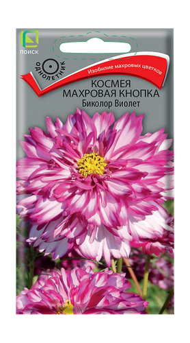 Космея Махровая кнопка Биколор Виолет 0,1гр, вид