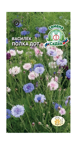 Цветок СЕДЕК Василёк Дот синий низкорослая смесь цветов Евро 0,5, картинка