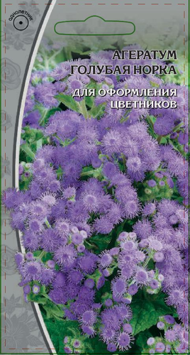 Семена Агератум Голубая норка 0,3 гр, вид