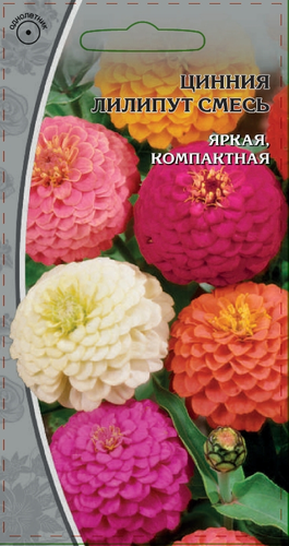 Семена Цинния Лиллипут 0,5 гр, изображение