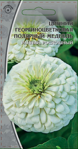 Семена Цинния Полярный медведь 0,5 гр, детальное фото