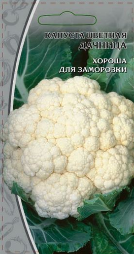 Семена Капуста цветная Дачница 0,3 гр, фото