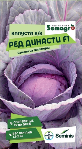 Семена Капусты краснокочанной SEMINIS Ред Династи F1, 15 шт, фотография
