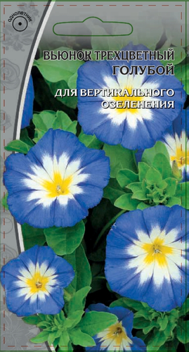 Семена Вьюнок трехцветный  голубой 0,5г, крупный план