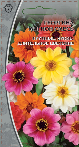 Семена Георгина Мигнон  смесь 0,3г, картинка