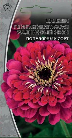 Семена Цинния Малиновый звон  0,5 гр, изображение