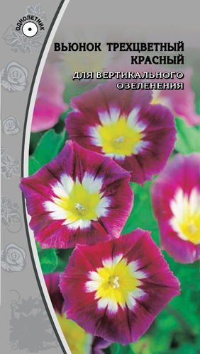 Семена Вьюнок трехцветный  красный 0,5г, картинка