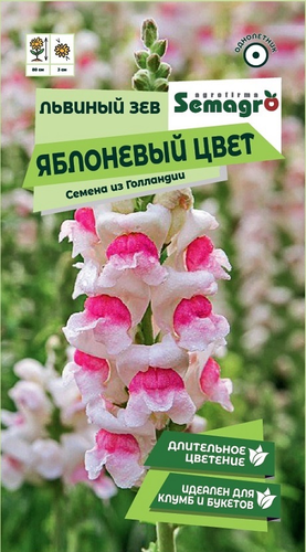 Семена Львиного Зева SEMAGRO Яблоневый цвет 0,1 г, детальное фото