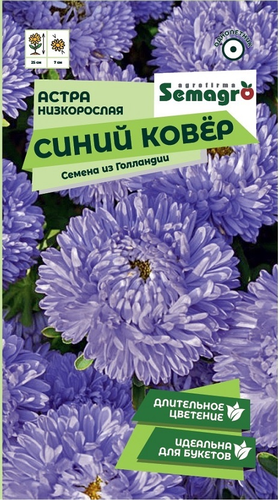Семена Астры низкорослой SEMAGRO Синий ковер 0,2 г, изображение