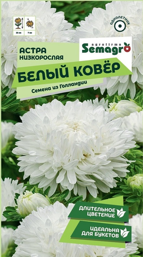 Семена Астры низкорослой SEMAGRO Белый ковер 0,2 г, крупный план