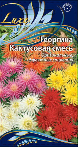 Семена Георгина Кактусовая  смесь 0,3г, изображение