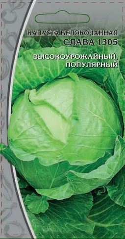 Семена Капуста б/к  Слава 1305 1 г, картинка