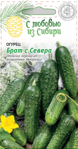 Семена Огурец Брат с Севера   0,25 гр, фото