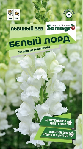 Семена Львиного Зева SEMAGRO Белый лорд 0,1 г, вид