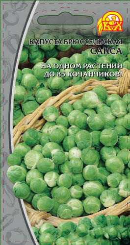 Семена Капуста брюссельская  Сакса (Селекция "ВХ")  0,2 гр, картинка