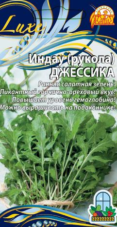 Семена Индау (рукола) Джессика    (Селекция "ВХ")       1 гр, крупный план