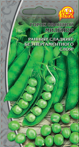 Семена Горох овощной  Миленок    10 гр, крупный план