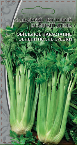 Семена Сельдерей листовой Бодрый день 0,5 гр, вид