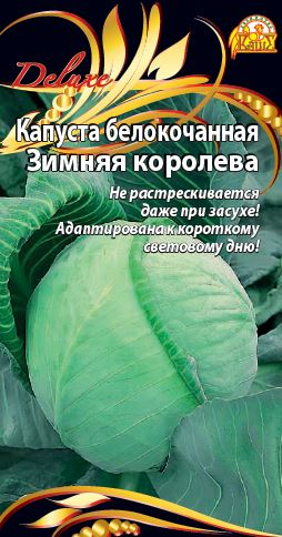 Семена Капуста б/к Зимняя королева Селекция "ВХ"       0,3г, фото