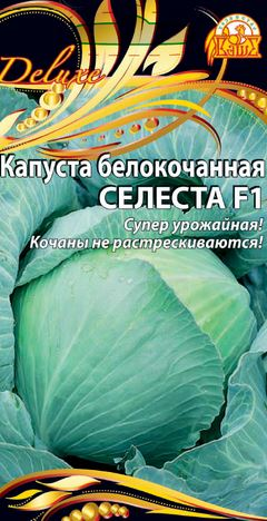 Семена Капуста б/к  Селеста F1 (Селекция "ВХ")  0,3г, крупный план