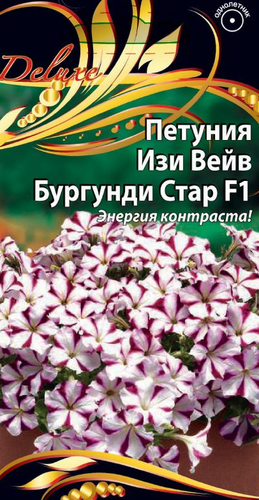 Семена Петуния Изи Вейв Бургунди Стар F1  цв.п   5шт, крупный план