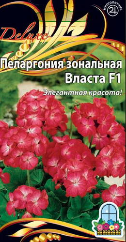 Семена Пеларгония зональная Власта F1  цв.п    5шт, детальное фото