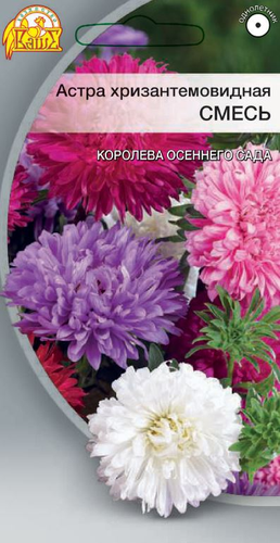 Семена Астра Хризантемовидная смесь цв.п     0,2 гр, картинка