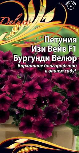 Семена Петуния Изи Вейв F1 Бургунди Велюр   цв.п    5шт, картинка
