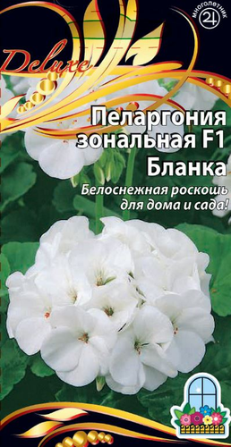 Семена Пеларгония зональная F1 Бланка цв.п   5шт, фотография