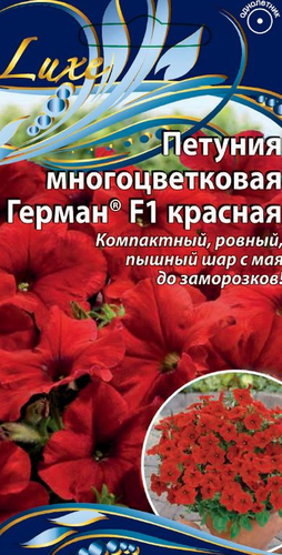 Семена Петуния многоцветковая Герман ® F1 красная  цв.п   10 шт, фото